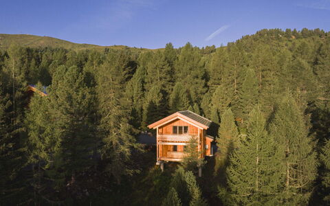 02 Nth056 18G Sup Chalet mit Sauna und Hot Tub 2 e: House, Shrub, Home, Residential Area, Estate, Cottage, Hacienda, Yard, Shade, Lawn