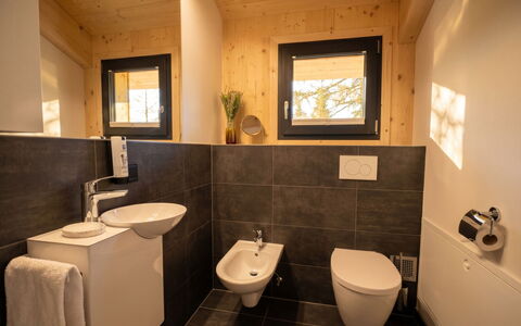 02 Nth056 18G Sup Chalet mit Sauna und Hot Tub 2 e: Wall, Flooring, Wood, Plumbing Fixture, Bathroom, Floor, Interior Design, Sink, Toilet, Toilet Seat