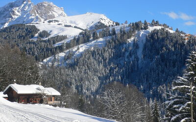 Chalet 1899