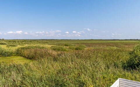 Scarlet - 500M from the Sea: Sky, Grass, Green, Grassland, Natural Environment, Vegetation, Ecoregion, Natural Landscape, Plain, Prairie