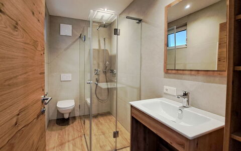 Auffach 602: Flooring, Wood, Floor, Interior Design, Plumbing Fixture, Bathroom, Room, Plumbing, Ceiling, Wood Flooring