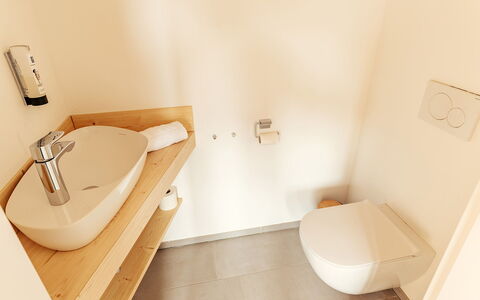 Niederwölz 602: Flooring, Floor, Wall, Plumbing Fixture, Bathroom, Wood, Interior Design, Bathroom Sink, Toilet, Plumbing