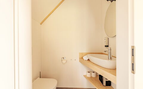 Niederwölz 602: Flooring, Wall, Interior Design, Bathroom, Plumbing Fixture, Floor, Wood, Ceiling, Tap, Plumbing