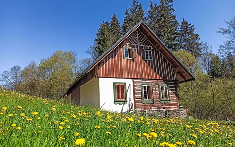U Kazíků: Tree, Grass, Building, House, Home, Cottage, Roof, Rural Area, Land Lot