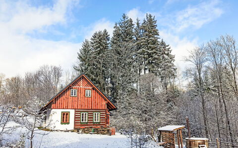 U Kazíků: Tree, House, Wood, Home, Cottage, Winter, Roof, Snow, Rural Area, Freezing