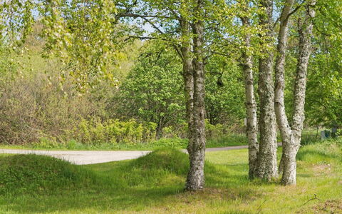 Wreth - 1.5Km from the Sea: Leaf, Green, Tree, Grass, Branch, Natural Environment, Nature, Vegetation, Natural Landscape, Shrub