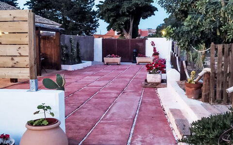 Mar de Cristal Playa Honda 500: Flowerpot, Floor, Flagstone, Brick, Garden, Concrete, Houseplant, Walkway, Courtyard, Backyard