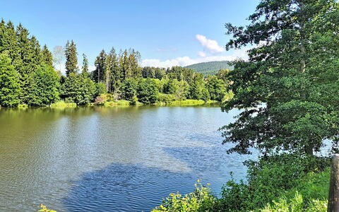 Klaffer am Hochficht 1: Water Resources, Water, Body Of Water, Tree, Green, Nature, Natural Environment, Natural Landscape, Watercourse, Bank