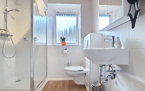 Klaffer am Hochficht 1: Bathroom, Interior Design, Plumbing Fixture, Flooring, Floor, Bathroom Sink, Sink, Tap, Toilet, Mirror