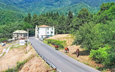 La Casa di Tea
