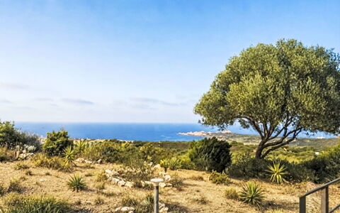 Sunset House Isola Rossa: Sky, Blue, Green, Leaf, Grass, Vegetation, Horizon, Natural Landscape, Ecoregion, Plant Community