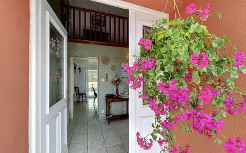 La Toulière: Flower, Pink, Flowerpot, Houseplant, Floristry, Floral Design, Balcony, Home Door