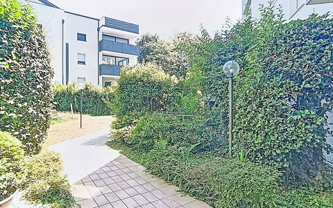 Monica: Shrub, Residential Area, Urban Design, Apartment, Groundcover, Garden, Hedge, Condominium, Shade, Suburb