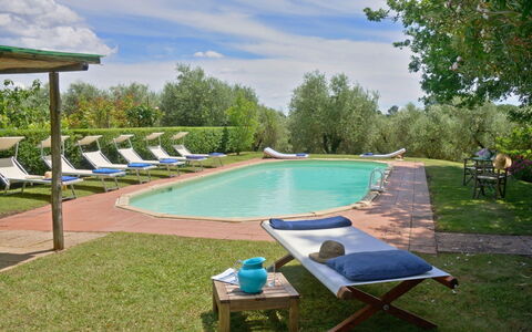 Villa Gioli: Swimming Pool, Outdoor Furniture, Furniture, Resort, Estate, Shade, Garden, Sunlounger, Landscaping, Hacienda