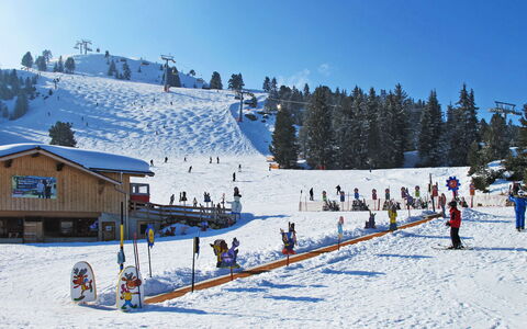 Eberharter am Schweinberg: Tree, Snow, Winter, Recreation, Piste, Hill Station, Freezing, Slope, Glacial Landform
