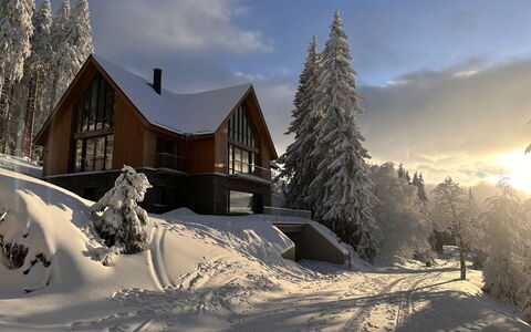 Rebelka: Tree, House, Home, Winter, Cottage, Snow, Roof, Freezing, Larch, Slope