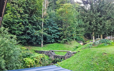 Sára: Grass, Green, Leaf, Vegetation, Shrub, Garden, Groundcover, Landscaping, Lawn