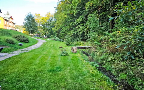 Sára: Grass, Green, Nature, Shrub, Landscape, Garden, Rural Area, Land Lot, Groundcover