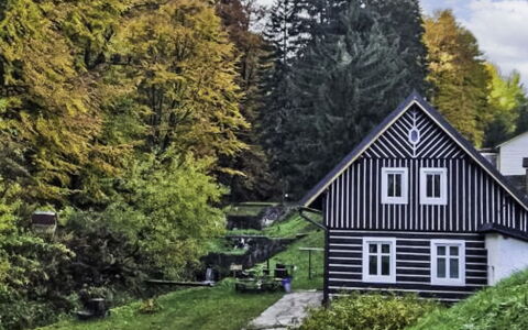 Sára: Green, Tree, Grass, Leaf, House, Shrub, Home, Cottage, Groundcover, Spring