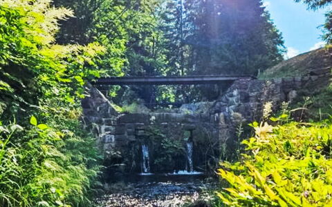 Sára: Water, Green, Body Of Water, Nature, Leaf, Natural Environment, Natural Landscape, Vegetation, Watercourse, Stream