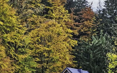 Sára