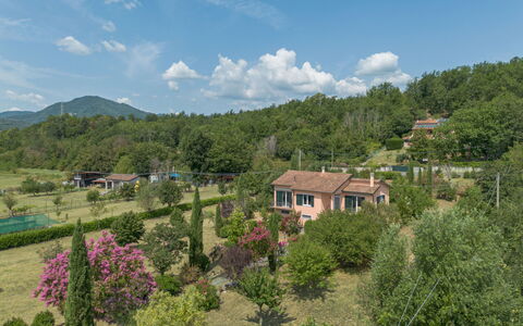 Gli Oleandri di Grazia: Tree, Vegetation, Landscape, Shrub, Rural Area, Residential Area, Land Lot, Plant Community, Human Settlement