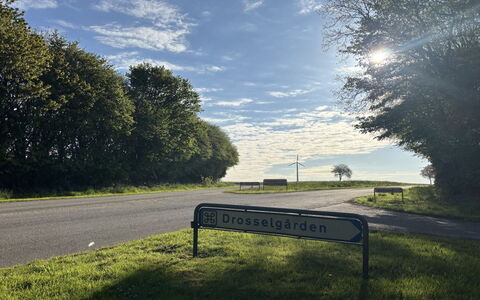 Thilo - 39Km from the Sea: Daytime, Grass, Nature, Branch, Road, Road Surface, Natural Landscape, Horizon, Landscape, Asphalt