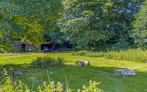 Thilo - 39Km from the Sea: Grass, Tree, Natural Environment, Nature, Leaf, Vegetation, Grassland, Shrub, Garden