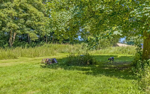 Thilo - 39Km from the Sea: Blue, Tree, Grass, Leaf, Green, Natural Environment, Grassland, Shrub, Land Lot, Plain