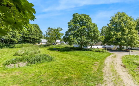 Thilo - 39Km from the Sea: Blue, Sky, Daytime, Tree, Grass, Branch, Nature, Vegetation, Natural Landscape, Shrub