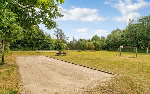 Tarvo - 500M to the Fjord: Tree, Grass, Plain, Land Lot, Meadow, Park, Pasture, Lawn, Landscaping, Evergreen