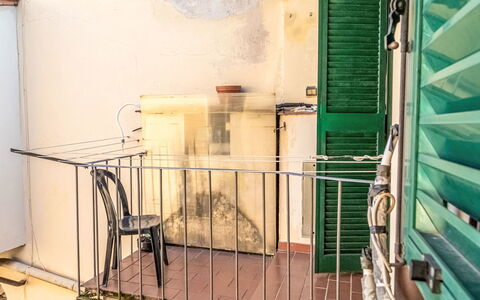Bellavista: Composite Material, Iron, Metal, Balcony, Handrail, Wood Stain, Baluster, Paint, Houseplant