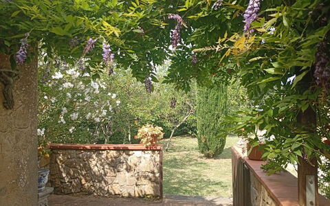 Podere Dolce Sonno e Sonnellino: Shrub, Garden, Spring, Groundcover, Shade, Yard, Backyard, Landscaping, Outdoor Structure, Pergola