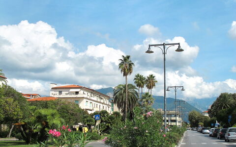 Marina di Massa 651: Sky, Tree, Cloud, Thoroughfare, Street Light, Cumulus