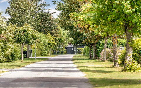 Ulli - 350M from the Sea: Tree, Leaf, Green, Branch, Road Surface, Shrub, Landscape, Spring, Thoroughfare, Garden