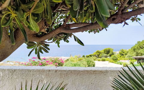 Cala Isulidda: Sea, Ocean, Coast, Tropics, Beach, Caribbean