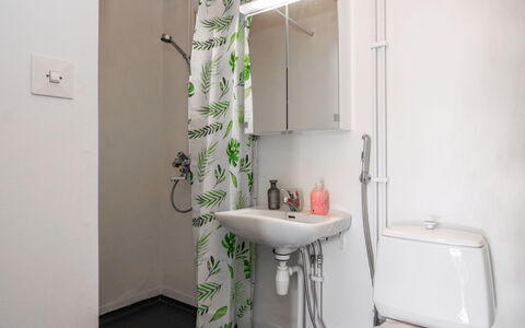 Heinävesi Homes D1: Plumbing Fixture, Interior Design, Bathroom, Toilet, Toilet Seat, Floor, Flooring, Plumbing, Shower Curtain, Tap