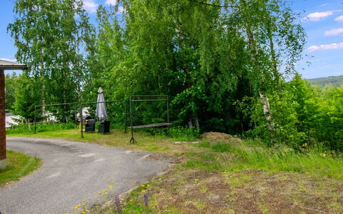 Heinävesi Homes D2: Grass, Tree, Green, Vegetation, Shrub, Land Lot, Rural Area, Spring, Lawn, Trail