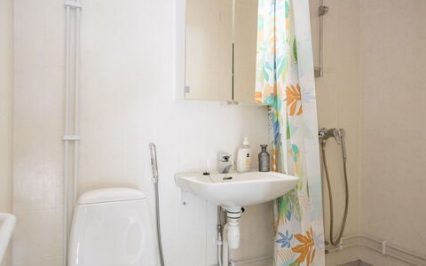 Heinävesi Homes D2: Bathroom Sink, Bathroom, Plumbing Fixture, Wall, Sink, Interior Design, Toilet, Floor, Tap, Plumbing
