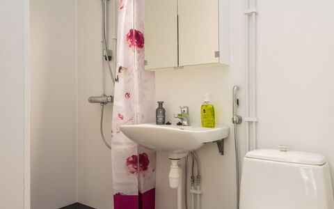 Heinävesi Homes D8: Bathroom, Plumbing Fixture, Bathroom Sink, Interior Design, Flooring, Sink, Floor, Tap, Toilet, Plumbing