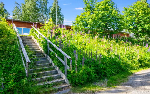 Heinävesi Homes D8: Green, Vegetation, Shrub, Plant Community, Garden, Spring, Wildflower, Landscaping, Botanical Garden, Walkway