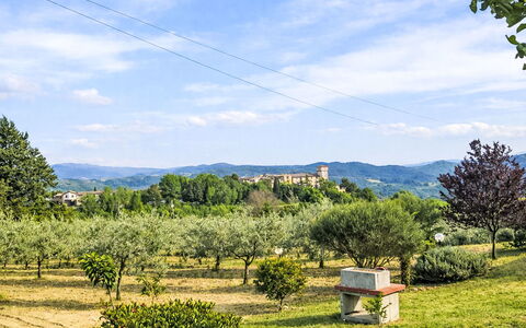 Il Mulinetto: Tree, Vegetation, Grassland, Shrub, Landscape, Rural Area, Land Lot, Plain, Meadow, Hill Station