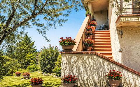 Il Mulinetto: Shrub, Garden, Flowerpot, Landscaping, Houseplant, Stairs, Yard, Design, Balcony
