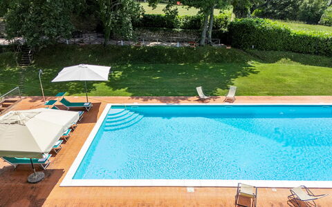 Torre di Paciano 10+2: Swimming Pool, Blue, Water, Resort, Eco Hotel, Composite Material, Thermae, Outdoor Furniture, Sunlounger, Shade