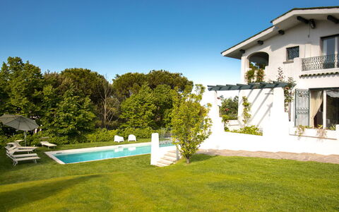 Villa Sarah 10+2: Grass, Residential Area, Home, House, Architecture, Shrub, Garden, Estate, Swimming Pool