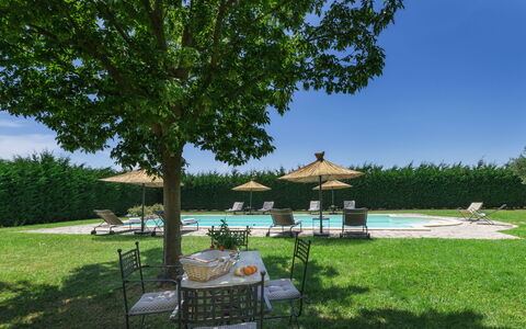 Villa Augusto 10: Outdoor Furniture, Swimming Pool, Garden, Lawn, Shade, Landscaping, Outdoor Table, Resort, Yard, Backyard