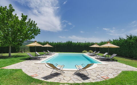 Villa Augusto 10: Swimming Pool, Outdoor Furniture, Garden, Resort, Landscaping, Shade, Lawn, Sunlounger, Chair, Eco Hotel