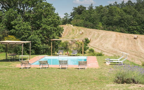 Amantino 8: Tree, Swimming Pool, Garden, Leisure, Outdoor Furniture, Lawn, Shade, Chair, Backyard, Resort