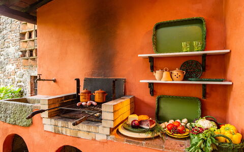 Villa Il Colle di Moriano 8: Orange, Houseplant, Food, Heat, Kitchen, Flowerpot, Fruit, Stove