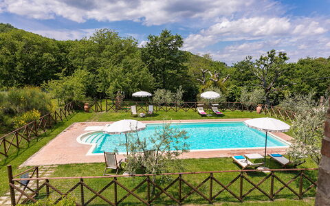 Podere Bagnolo 8: Swimming Pool, Resort, Garden, Outdoor Furniture, Eco Hotel, Thermae, Estate, Hacienda, Lawn, Farmhouse